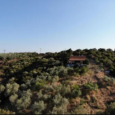 Real Holidays Antoniadou - Rustic House