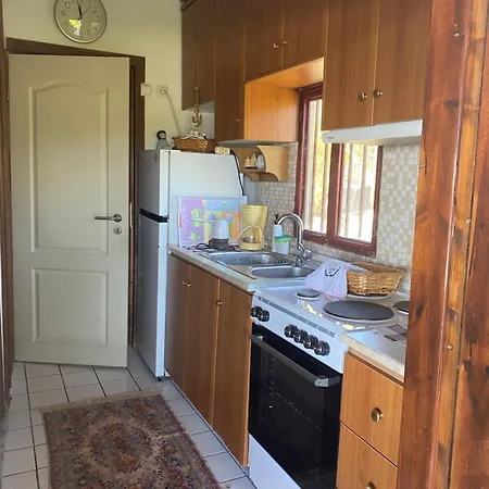 Real Holidays Antoniadou - Rustic House Holiday home