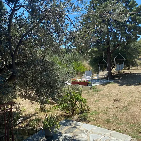 Real Holidays Antoniadou - Rustic House *