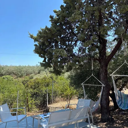 Real Holidays Antoniadou - Rustic House